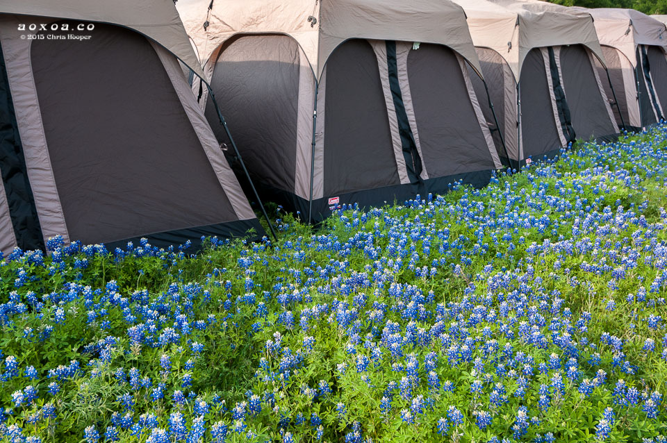euphoria music-camping festival